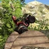 ATV Junkyard